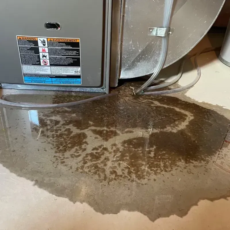 Appliance Leak Cleanup in Sherwood Shores, TX